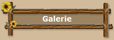 Galerie