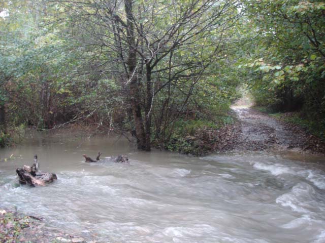 Le cours d'eau